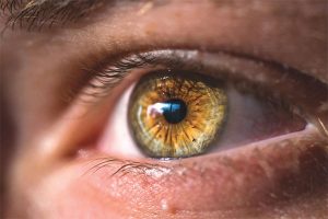 eye