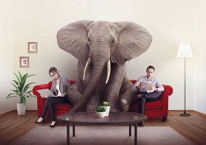 Elephant in the Room